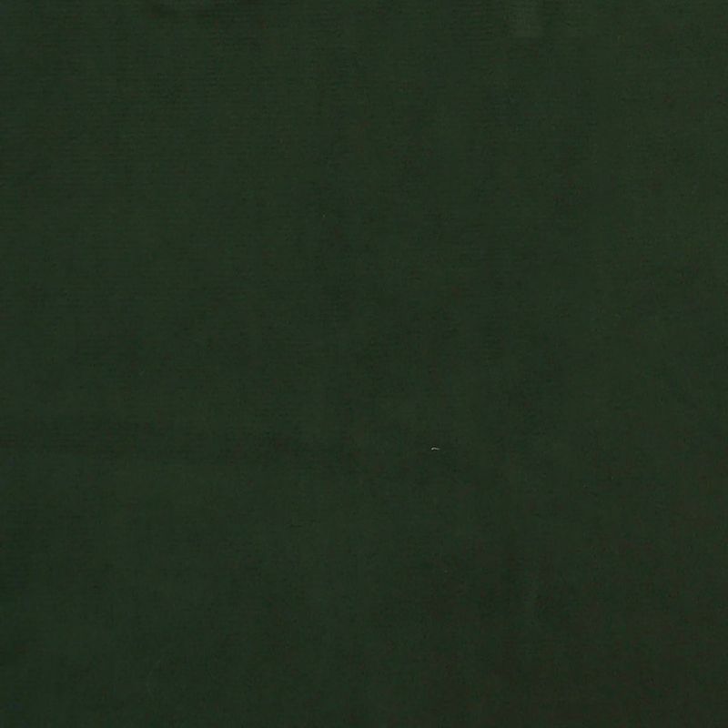 Casa si Gradina - Mobilier - Canapele si coltare - Canapele - Canapea extensibila cu 2 locuri, 2 perne, verde inchis catifea - Infinity.ro