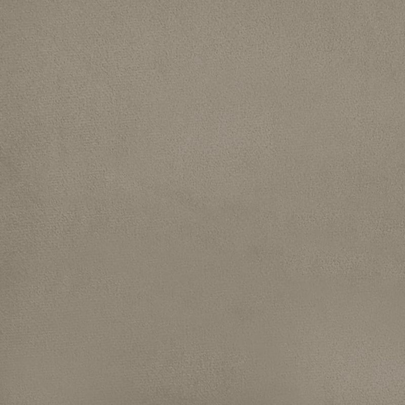 Casa si Gradina - Mobilier - Canapele si coltare - Canapele - Canapea extensibila cu 2 locuri, gri deschis, catifea - Infinity.ro