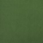 Casa si Gradina - Mobilier - Canapele si coltare - Canapele - Canapea extensibila cu 2 locuri, 2 perne, verde inchis catifea - Infinity.ro