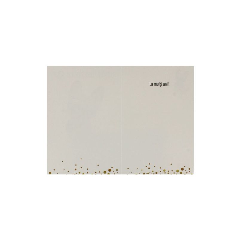 Market - Cadouri - Felicitari - Felicitare cu mesaj haios Celebrating dog - Infinity.ro