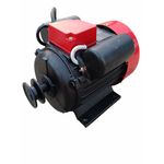 Casa si Gradina - Gradinarit si plante - Instalatii si accesorii pentru irigatii - Pompe apa - Motor electric 0.75 KW, 230 V, 3000 rpm, YAMAMOTO, Y801-2 - Infinity.ro