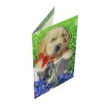 Market - Cadouri - Felicitari - Felicitare 3D Premium Pets - Infinity.ro