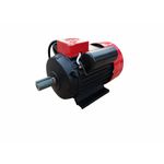 Casa si Gradina - Gradinarit si plante - Instalatii si accesorii pentru irigatii - Pompe apa - Motor electric 3 KW, 230 V, 3000 rpm, YAMAMOTO, Y100L-2 - Infinity.ro