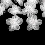 Fashion, accesorii si bijuterii - Femei - Accesorii femei - Accesorii pentru par femei - Set 3 clesti pentru par Crisalida, diametru 3,5 cm, Flori albe - Infinity.ro