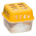 Electronice si Electrocasnice - Climatizare si sisteme de incalzire - Aparate filtrare aer - Dezumidificatoare - Dezumificator pasiv cu 2 rezerve 400g Vanilie ABYZ - Infinity.ro