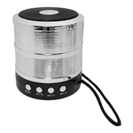 TV, Audio-Video si Foto - Portabile audio - Boxe portabile - Mini boxa portabila, Corp metalic, Bluetooth, Miscro-SD, Radio, Aux, Culoare Argintiu - Infinity.ro