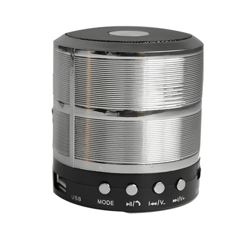 TV, Audio-Video si Foto - Portabile audio - Boxe portabile - Mini boxa portabila, Corp metalic, Bluetooth, Miscro-SD, Radio, Aux, Culoare Argintiu - Infinity.ro