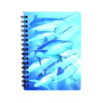 Carti si Birotica - Papetarie - Agende si calendare - Agende si carnete - Carnetel zoo cu spirala 3D Shark Light - Infinity.ro