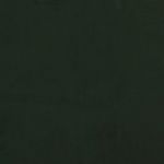 Casa si Gradina - Mobilier - Canapele si coltare - Canapele - Canapea extensibila cu 2 locuri, verde inchis, catifea - Infinity.ro