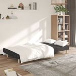 Casa si Gradina - Mobilier - Canapele si coltare - Canapele - Canapea extensibila cu 2 locuri, negru, material textil - Infinity.ro