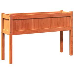 Casa si Gradina - Gradinarit si plante - Plante si ghivece - Infinity.ro