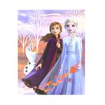 Market - Cadouri - Pungi cadou si accesorii - Punga hartie SDE medie Frozen 2 - Infinity.ro