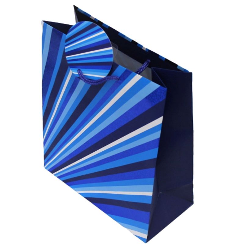 Market - Cadouri - Pungi cadou si accesorii - Punga de cadou hartie M STRIPES - Infinity.ro