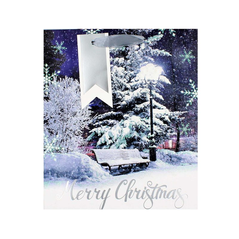 Market - Cadouri - Pungi cadou si accesorii - Punga cadou Craciun SDE L XMAS PHOTOGRAPHIC - Infinity.ro