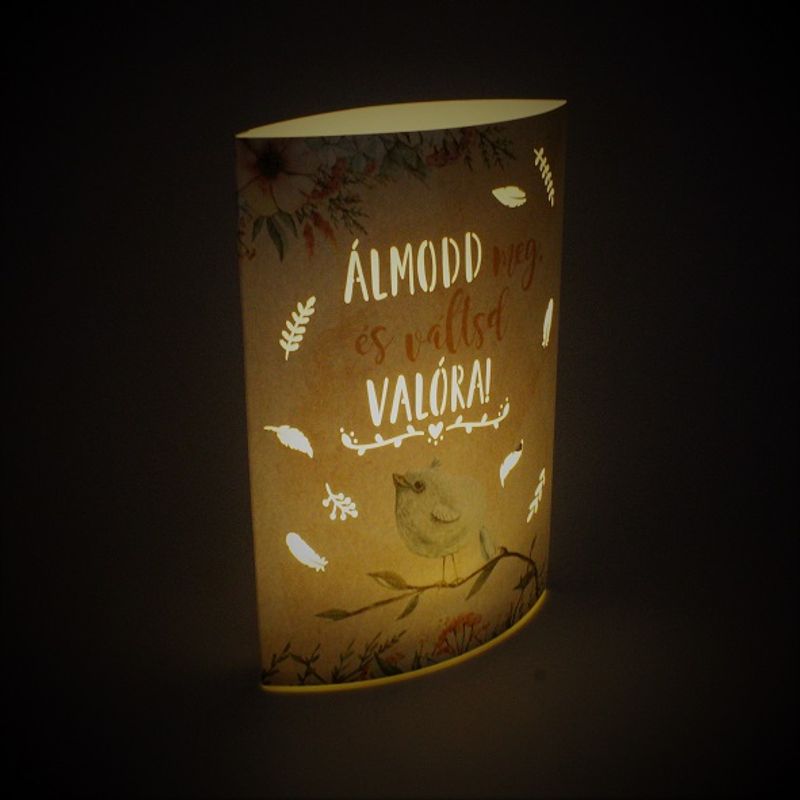 Casa si Gradina - Corpuri si surse de iluminat - Veioze si lampi - Lampadare - Lampa hartie Álmodd meg és váltsd valőra! - Infinity.ro