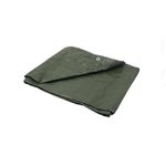 Casa si Gradina - Gradinarit si plante - Sere si solarii - Prelata impermeabila 15x20m, 80 g/m², Geko G70385 - Infinity.ro