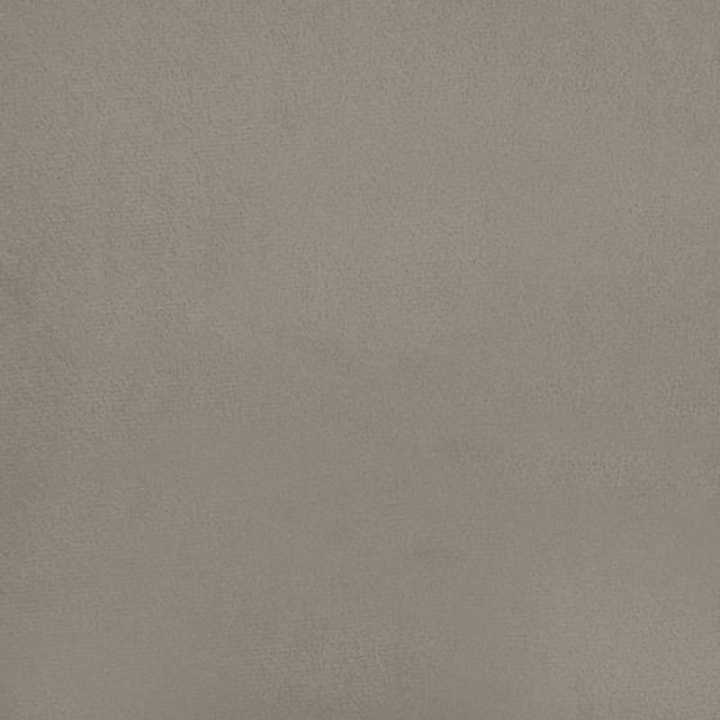 Casa si Gradina - Mobilier - Canapele si coltare - Canapele - Canapea extensibila cu 2 locuri, 2 perne, gri deschis, catifea - Infinity.ro