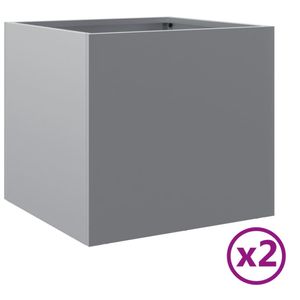 Casa si Gradina - Gradinarit si plante - Plante si ghivece - Infinity.ro