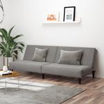 Casa si Gradina - Mobilier - Canapele si coltare - Canapele - Canapea extensibila cu 2 locuri, gri deschis, catifea - Infinity.ro