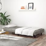 Casa si Gradina - Mobilier - Canapele si coltare - Canapele - Canapea extensibila cu 2 locuri, gri deschis, catifea - Infinity.ro