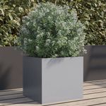 Casa si Gradina - Gradinarit si plante - Plante si ghivece - Ghivece si suporturi - Jardiniera, argintiu, 32x30x29 cm, otel galvanizat - Infinity.ro