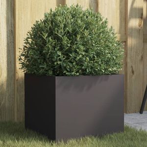 Casa si Gradina - Gradinarit si plante - Plante si ghivece - Infinity.ro