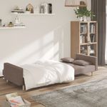 Casa si Gradina - Mobilier - Canapele si coltare - Canapele - Canapea extensibila cu 2 locuri, 2 perne, gri taupe, textil - Infinity.ro