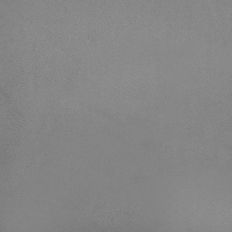 Casa si Gradina - Mobilier - Canapele si coltare - Canapele - Canapea extensibila cu 2 locuri, gri deschis, catifea - Infinity.ro