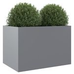 Casa si Gradina - Gradinarit si plante - Plante si ghivece - Ghivece si suporturi - Jardiniera, argintiu, 62x47x46 cm, otel galvanizat - Infinity.ro