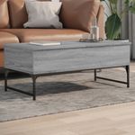 Casa si Gradina - Mobilier - Mese si birouri - Masute de cafea - Masuta de cafea, gri sonoma, 100x50x40 cm, lemn prelucrat/metal - Infinity.ro
