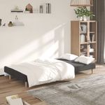 Casa si Gradina - Mobilier - Canapele si coltare - Canapele - Canapea extensibila cu 2 locuri, gri inchis, textil - Infinity.ro