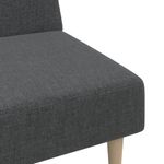 Casa si Gradina - Mobilier - Canapele si coltare - Canapele - Canapea extensibila cu 2 locuri, gri inchis, textil - Infinity.ro