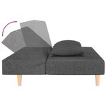 Casa si Gradina - Mobilier - Canapele si coltare - Canapele - Canapea extensibila cu 2 locuri, 2 perne, gri inchis, textil - Infinity.ro