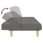 Casa si Gradina - Mobilier - Canapele si coltare - Canapele - Canapea extensibila cu 2 locuri, gri deschis, tesatura - Infinity.ro