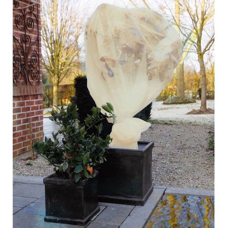 Casa si Gradina - Gradinarit si plante - Unelte gradinarit - Accesorii pentru unelte gradinarit - Nature Husa anti-inghet din fleece , bej, 2 x 5 m, 60 g/m² - Infinity.ro