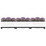 Casa si Gradina - Gradinarit si plante - Plante si ghivece - Ghivece si suporturi - Strat inaltat, 120x40x23 cm, polipropilena, alb - Infinity.ro