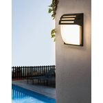 Casa si Gradina - Corpuri si surse de iluminat - Plafoniere, aplice si spoturi - Aplica AstralAesthetics, LuminiLux, Negru, 25 x 18 cm, Metal, Led - Infinity.ro