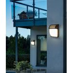 Casa si Gradina - Corpuri si surse de iluminat - Plafoniere, aplice si spoturi - Aplica AstralAesthetics, LuminiLux, Negru, 25 x 18 cm, Metal, Led - Infinity.ro