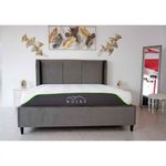 Casa si Gradina - Mobilier - Paturi si accesorii - Paturi - Pat Oslo, 160 x 200 cm, tapitat catifea gri, somiera inclusa - Infinity.ro