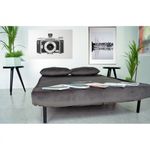 Casa si Gradina - Mobilier - Canapele si coltare - Canapele - Canapea Extensibila, 123 x 77 x 190 cm, catifea, gri inchis - Infinity.ro