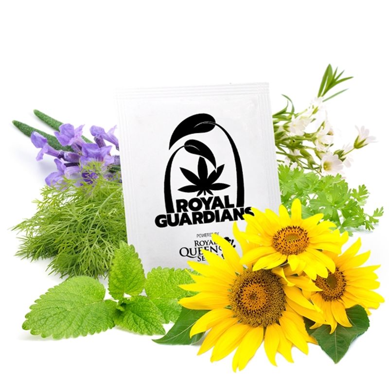 Casa si Gradina - Gradinarit si plante - Intretinere gradina - Pamant flori, ingrasaminte si pesticide - Pachet de 5 tipuri de seminte Anti-Gandaci , Royal Queen Seeds Guardians Pack , 5 pachete de seminte - Infinity.ro