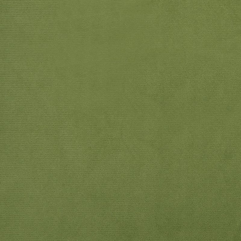 Casa si Gradina - Mobilier - Scaune si fotolii - Scaune - Scaune de bucatarie, 2 buc., verde deschis, catifea - Infinity.ro