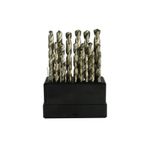 Casa si Gradina - Constructii - Scule electrice si accesorii - Seturi si accesorii pentru gaurit si insurubat - Set de burghie 1-13mm, 25 piese, Geko G38215 - Infinity.ro