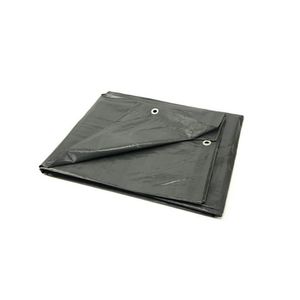 Casa si Gradina - Gradinarit si plante - Sere si solarii - Infinity.ro