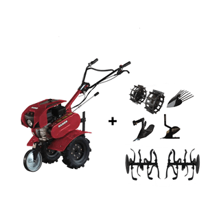 Casa si Gradina - Gradinarit si plante - Utilaje gradina - Infinity.ro