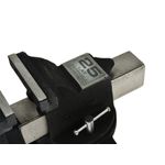 Casa si Gradina - Constructii - Scule electrice si accesorii - Menghine si cleme fixare - Menghina profesionala  4 "(100mm) 25GW, Tvardy T00200 - Infinity.ro