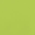 Sport si Outdoor - Ciclism - Accesorii pentru biciclete - Remorci biciclete - Remorca pentru biciclete, negru și verde, 45 kg, fier, mărime 62.5x124x52 cm - Infinity.ro