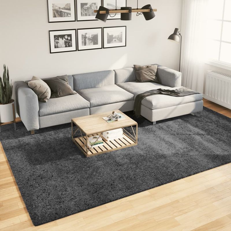 Casa si Gradina - Textile si covoare - Covoare - Covoare casa - Covor „OVIEDO”, fire scurte, antracit, 240x340 cm - Infinity.ro