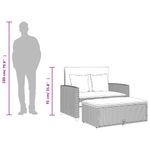 Casa si Gradina - Gradina si terasa - Mobilier exterior - Canapele si fotolii gradina - Canapea de gradina, 2 locuri, bej, poliratan & lemn de acacia - Infinity.ro