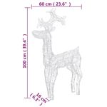 Casa si Gradina - Decoratiuni - Decoratiuni de sezon - Decoratiune de Crăciun ren, 2 buc., 60x16x100 cm, acril, alb rece - Infinity.ro